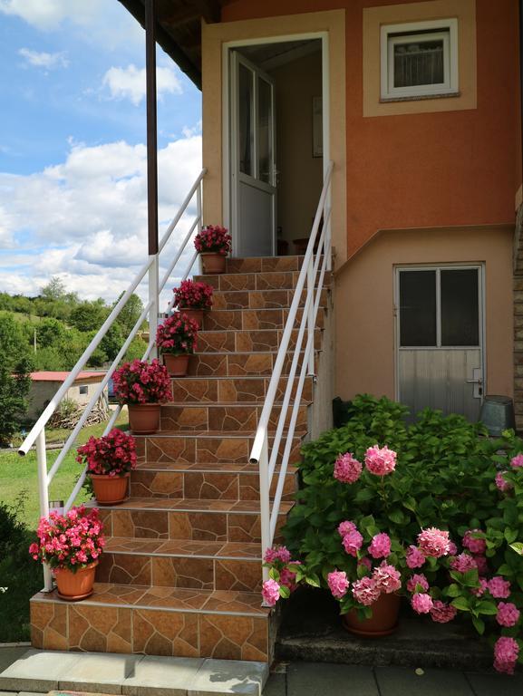 Apartment Luka Kuterevo Екстериор снимка