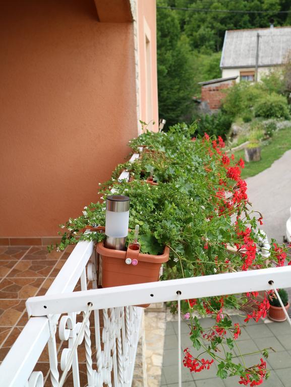 Apartment Luka Kuterevo Екстериор снимка