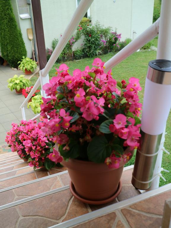 Apartment Luka Kuterevo Екстериор снимка