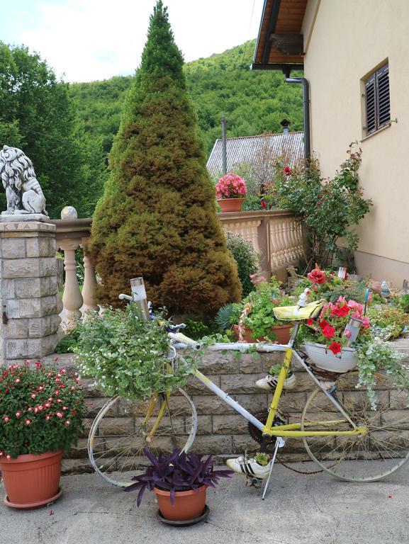Apartment Luka Kuterevo Екстериор снимка